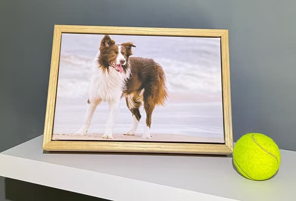Remembrance canvas picture frame displaying a photograph of a dog
